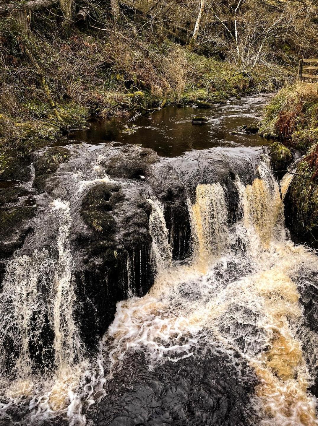 Glenariff Forest Evergreen Lodge Exteriér fotografie